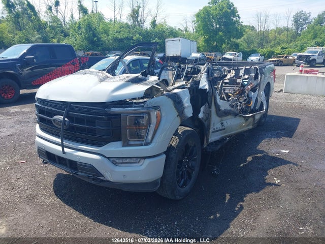 12643516 :رقم المزاد ، 1FTFW1ED7PFA62691 vin ، 2023 Ford F-150 مزاد بيع