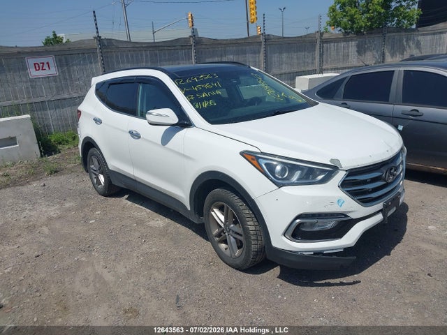 Auction sale of the 2017 Hyundai Santa Fe Sport, vin: 5XYZUDLBXHG459641, lot number: 12643563