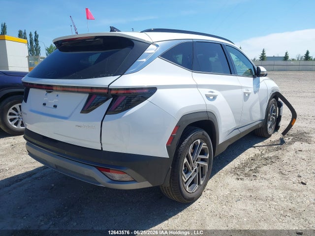 Продаж на аукціоні авто 2026 Hyundai Tucson Ultimate Hybrid Awd, vin: KM8JCDD11TU448665, номер лоту: 12643576