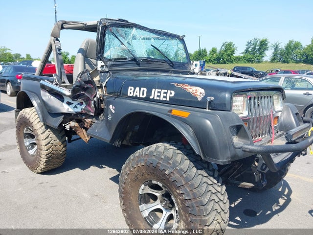 Продажа на аукционе авто 1995 Jeep Wrangler / Yj Sahara, vin: 1J4FY49S7SP231576, номер лота: 12643602
