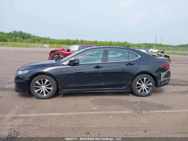 19UUB1F36FA801507 Acura TLX