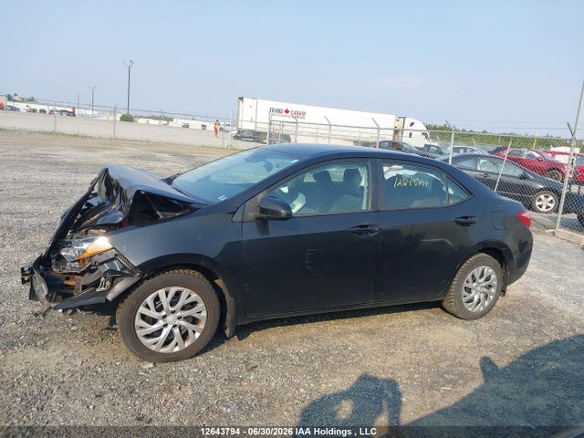 2019 Toyota Corolla L/le/xle/se/xse მანქანა იყიდება აუქციონზე, vin: 2T1BURHE1KC226994, აუქციონის ნომერი: 12643794