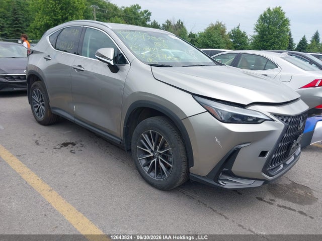 2023 Lexus Nx 250 მანქანა იყიდება აუქციონზე, vin: 2T2ADCEZ4PC004100, აუქციონის ნომერი: 12643824