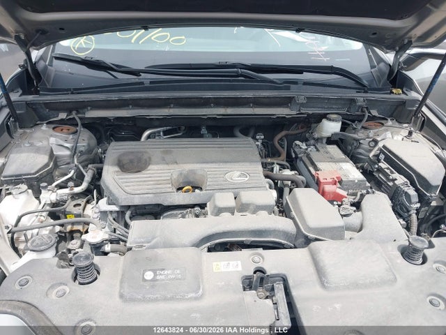 2023 Lexus Nx 250 მანქანა იყიდება აუქციონზე, vin: 2T2ADCEZ4PC004100, აუქციონის ნომერი: 12643824