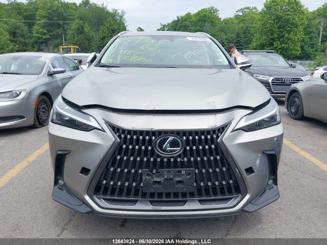 2023 Lexus Nx 250 მანქანა იყიდება აუქციონზე, vin: 2T2ADCEZ4PC004100, აუქციონის ნომერი: 12643824