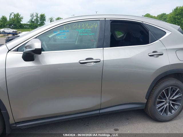 2023 Lexus Nx 250 მანქანა იყიდება აუქციონზე, vin: 2T2ADCEZ4PC004100, აუქციონის ნომერი: 12643824