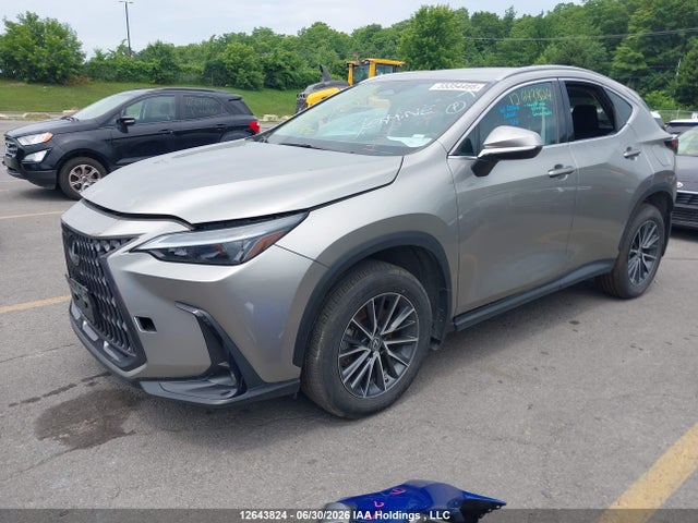 2023 Lexus Nx 250 მანქანა იყიდება აუქციონზე, vin: 2T2ADCEZ4PC004100, აუქციონის ნომერი: 12643824