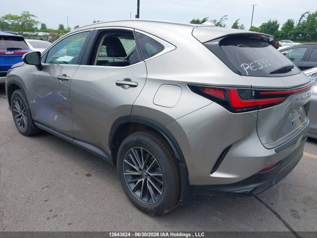 2023 Lexus Nx 250 მანქანა იყიდება აუქციონზე, vin: 2T2ADCEZ4PC004100, აუქციონის ნომერი: 12643824