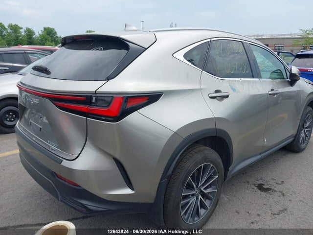 2023 Lexus Nx 250 მანქანა იყიდება აუქციონზე, vin: 2T2ADCEZ4PC004100, აუქციონის ნომერი: 12643824
