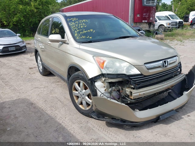 Продаж на аукціоні авто 2009 Honda Cr-v Exl, vin: 5J6RE48789L807406, номер лоту: 12643983