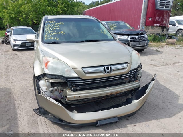 Продаж на аукціоні авто 2009 Honda Cr-v Exl, vin: 5J6RE48789L807406, номер лоту: 12643983