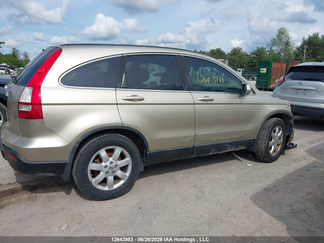 Продаж на аукціоні авто 2009 Honda Cr-v Exl, vin: 5J6RE48789L807406, номер лоту: 12643983