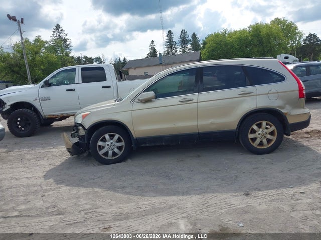 Продаж на аукціоні авто 2009 Honda Cr-v Exl, vin: 5J6RE48789L807406, номер лоту: 12643983