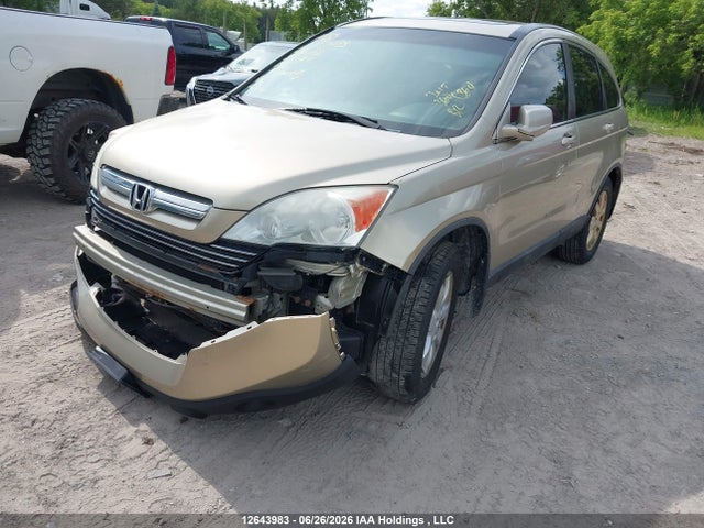 Продаж на аукціоні авто 2009 Honda Cr-v Exl, vin: 5J6RE48789L807406, номер лоту: 12643983