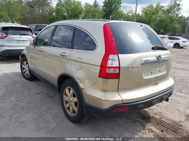 Продаж на аукціоні авто 2009 Honda Cr-v Exl, vin: 5J6RE48789L807406, номер лоту: 12643983