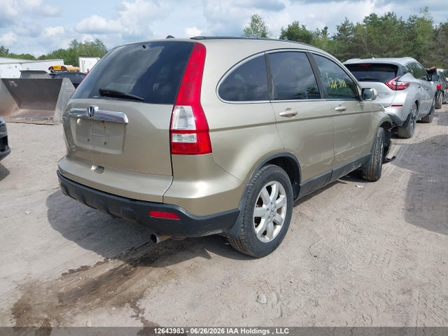 Продаж на аукціоні авто 2009 Honda Cr-v Exl, vin: 5J6RE48789L807406, номер лоту: 12643983