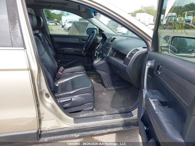 Продаж на аукціоні авто 2009 Honda Cr-v Exl, vin: 5J6RE48789L807406, номер лоту: 12643983