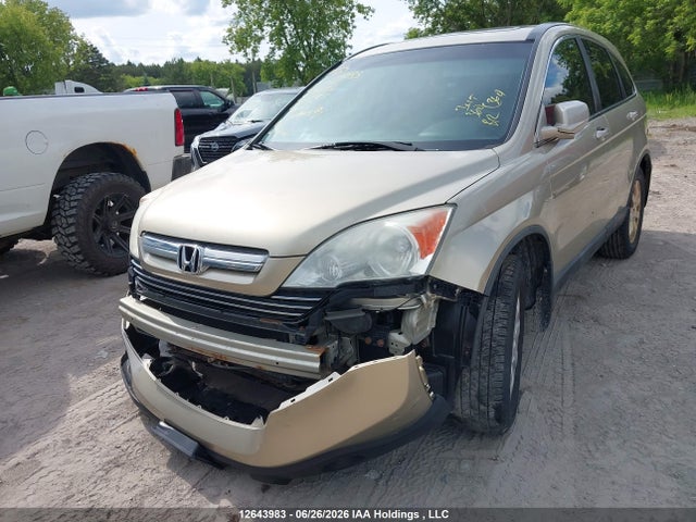 Продаж на аукціоні авто 2009 Honda Cr-v Exl, vin: 5J6RE48789L807406, номер лоту: 12643983