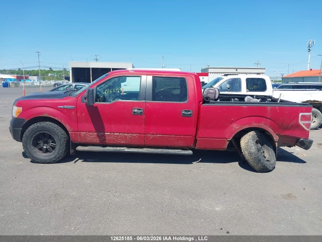 12625185 :رقم المزاد ، 1FTFW1EV3AFD45461 vin ، 2010 Ford F-150 Fx4/harley-davidson/lariat/xlt مزاد بيع