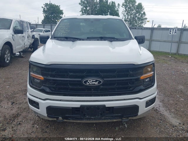Продаж на аукціоні авто 2025 Ford F150 Xlt, vin: 1FTFW3L82SKD60194, номер лоту: 12644171