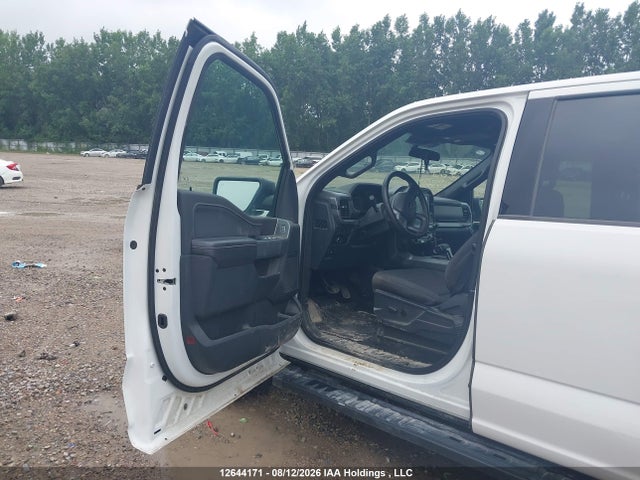 Продаж на аукціоні авто 2025 Ford F150 Xlt, vin: 1FTFW3L82SKD60194, номер лоту: 12644171