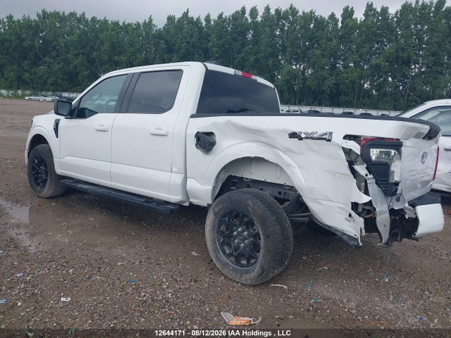 Продаж на аукціоні авто 2025 Ford F150 Xlt, vin: 1FTFW3L82SKD60194, номер лоту: 12644171