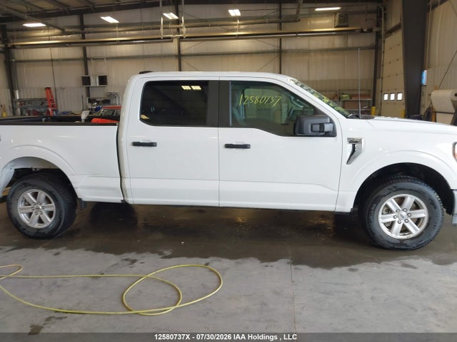 2023 Ford F-150 Xlt მანქანა იყიდება აუქციონზე, vin: 1FTFW1E83PKE40886, აუქციონის ნომერი: 12580737