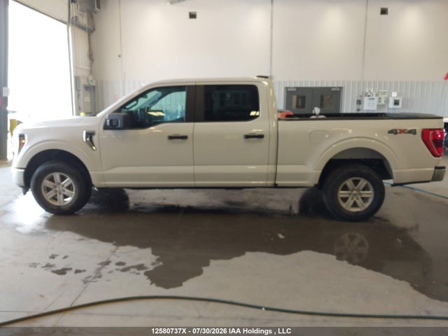 2023 Ford F-150 Xlt მანქანა იყიდება აუქციონზე, vin: 1FTFW1E83PKE40886, აუქციონის ნომერი: 12580737