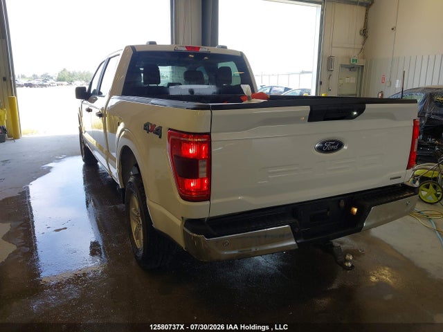 2023 Ford F-150 Xlt მანქანა იყიდება აუქციონზე, vin: 1FTFW1E83PKE40886, აუქციონის ნომერი: 12580737