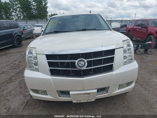 Продажа на аукционе авто 2009 Cadillac Escalade Esv Platinum, vin: 1GYFK36219R141208, номер лота: 12644247