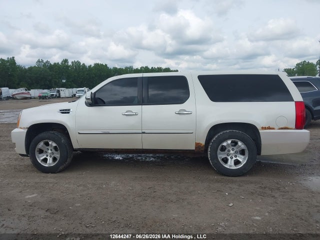 Продажа на аукционе авто 2009 Cadillac Escalade Esv Platinum, vin: 1GYFK36219R141208, номер лота: 12644247