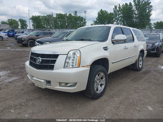 Продажа на аукционе авто 2009 Cadillac Escalade Esv Platinum, vin: 1GYFK36219R141208, номер лота: 12644247