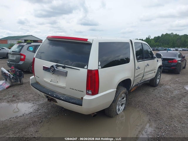 Продажа на аукционе авто 2009 Cadillac Escalade Esv Platinum, vin: 1GYFK36219R141208, номер лота: 12644247