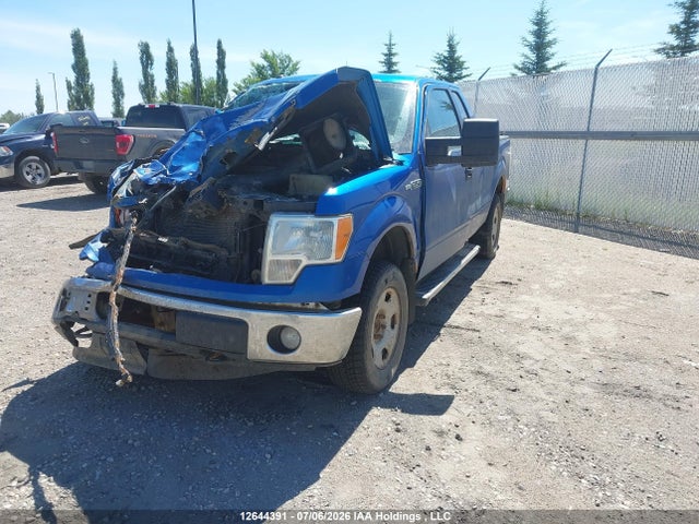 12644391 :رقم المزاد ، 1FTFX1EF3BFB27074 vin ، 2011 Ford F150 Super Cab مزاد بيع