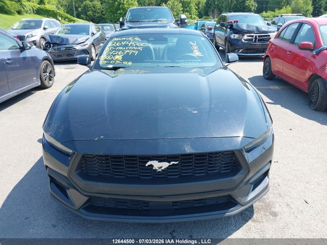 Ford Mustang 2025 1FA6P8TH8S5126799 Image 12