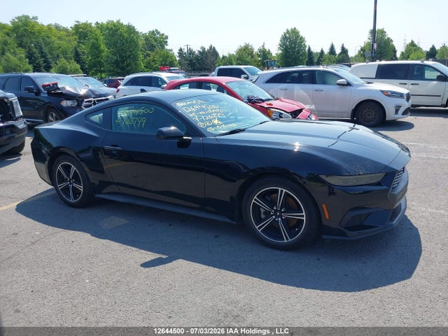Ford Mustang 2025 1FA6P8TH8S5126799 Image 13