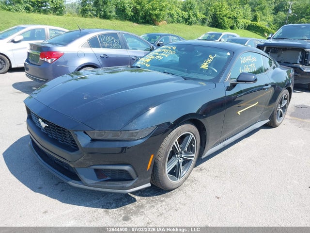 Ford Mustang 2025 1FA6P8TH8S5126799 Image 2