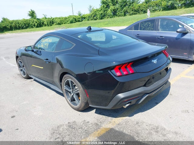 Ford Mustang 2025 1FA6P8TH8S5126799 Image 3