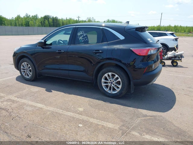 Ford ESCAPE SE 2020 1FMCU9G62LUC61249 Image 3