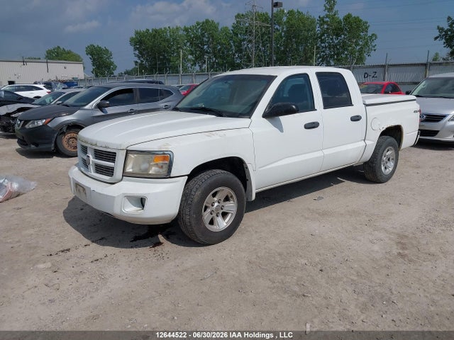 Aukcja sprzedaży 2011 Dodge Dakota Slt, vin: 1D7RW3GK3BS649061, numer aukcji: 12644522