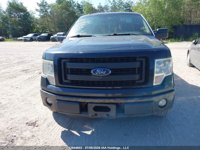 12644602 :رقم المزاد ، 1FTEX1CMXDKE79785 vin ، 2013 Ford F-150 Stx/xl/xlt مزاد بيع