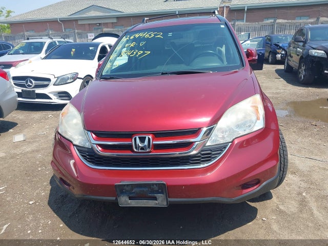 Aukcja sprzedaży 2010 Honda Cr-v Exl, vin: 5J6RE4H77AL814397, numer aukcji: 12644652
