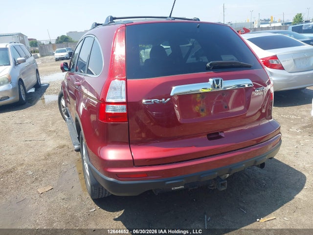 Aukcja sprzedaży 2010 Honda Cr-v Exl, vin: 5J6RE4H77AL814397, numer aukcji: 12644652