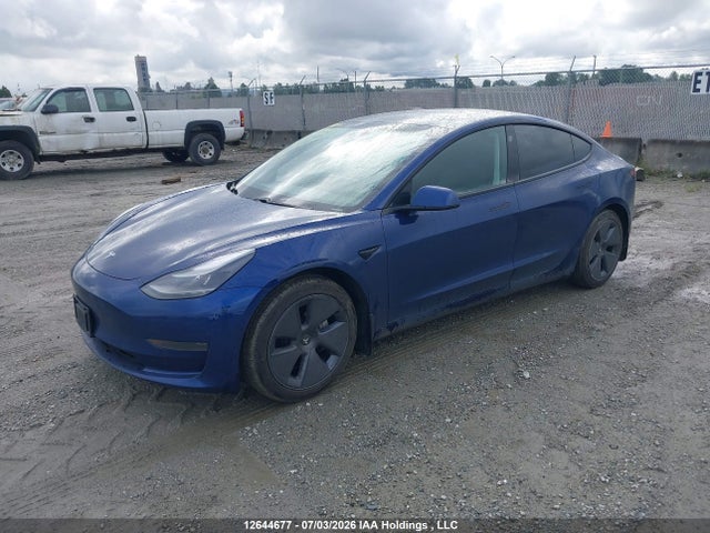 Tesla Model 3 Standard Range/standard Range Plus 2021 5YJ3E1EA5MF920266 Image 2