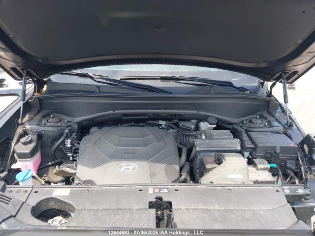 Hyundai Palisade Ultimate Calligraphy 2024 KM8R5DGE3RU709721 Image 10
