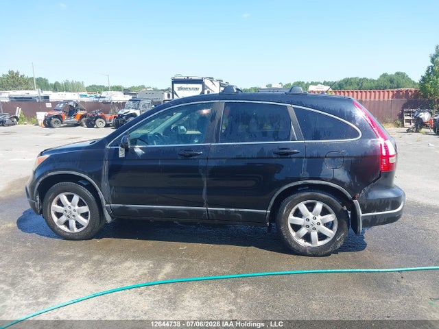 Aukcja sprzedaży 2007 Honda Cr-v Exl, vin: 5J6RE487X7L808635, numer aukcji: 12644738
