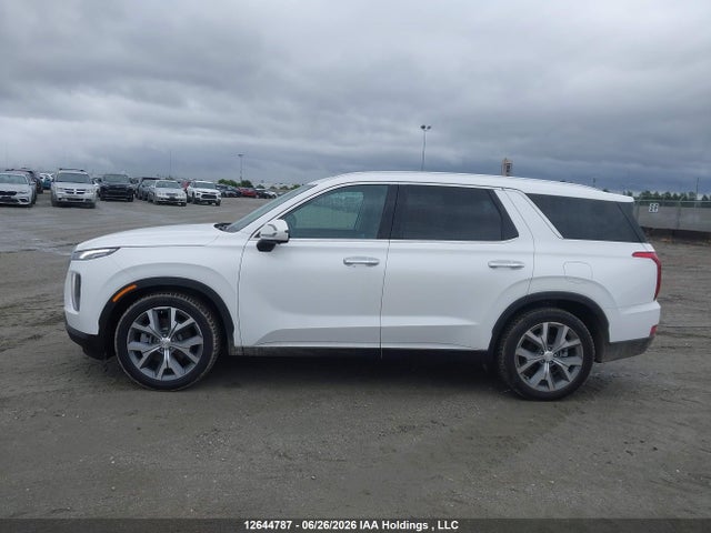 Продаж на аукціоні авто 2020 Hyundai Palisade Luxury 8-passenger Seating, vin: KM8R3DHE7LU119937, номер лоту: 12644787