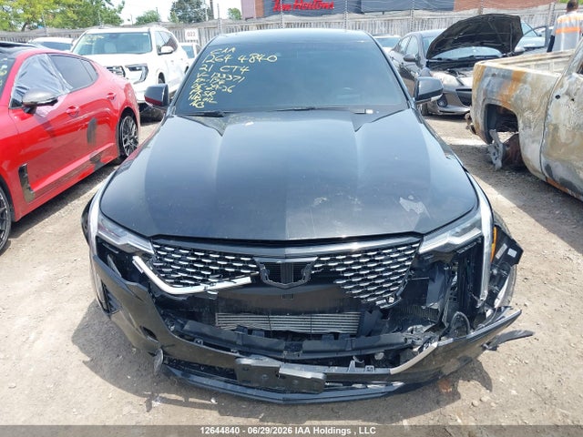 12644840 :رقم المزاد ، 1G6DF5RL3M0133371 vin ، 2021 Cadillac Ct4 Premium Luxury مزاد بيع