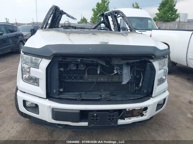 Ford F-150 2015 1FTFW1EG4FFC79687 Image 11