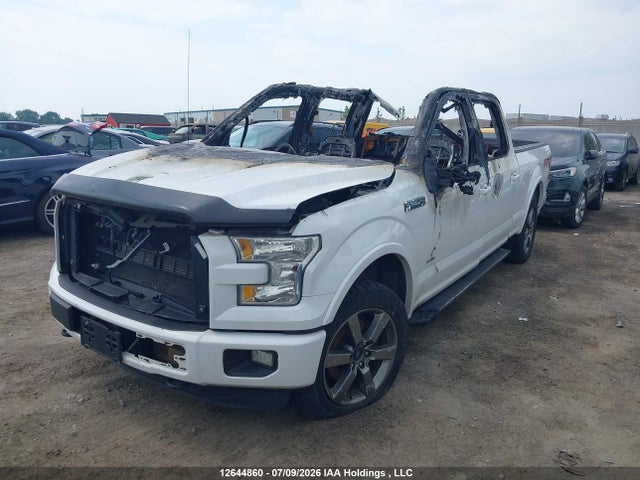 Ford F-150 2015 1FTFW1EG4FFC79687 Image 2